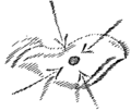 Vorschaubild der Version vom 17:34, 16. Jul. 2026
