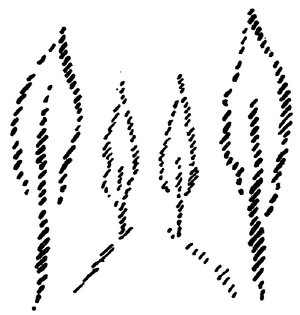 Zeichnung aus GA 183, S. 164