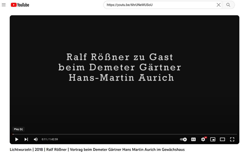 Datei:Vortrag Lichtwurzel von Ralf Rößner bei Hans-Martin Aurich im Glashaus Frankfurt 2018.jpg